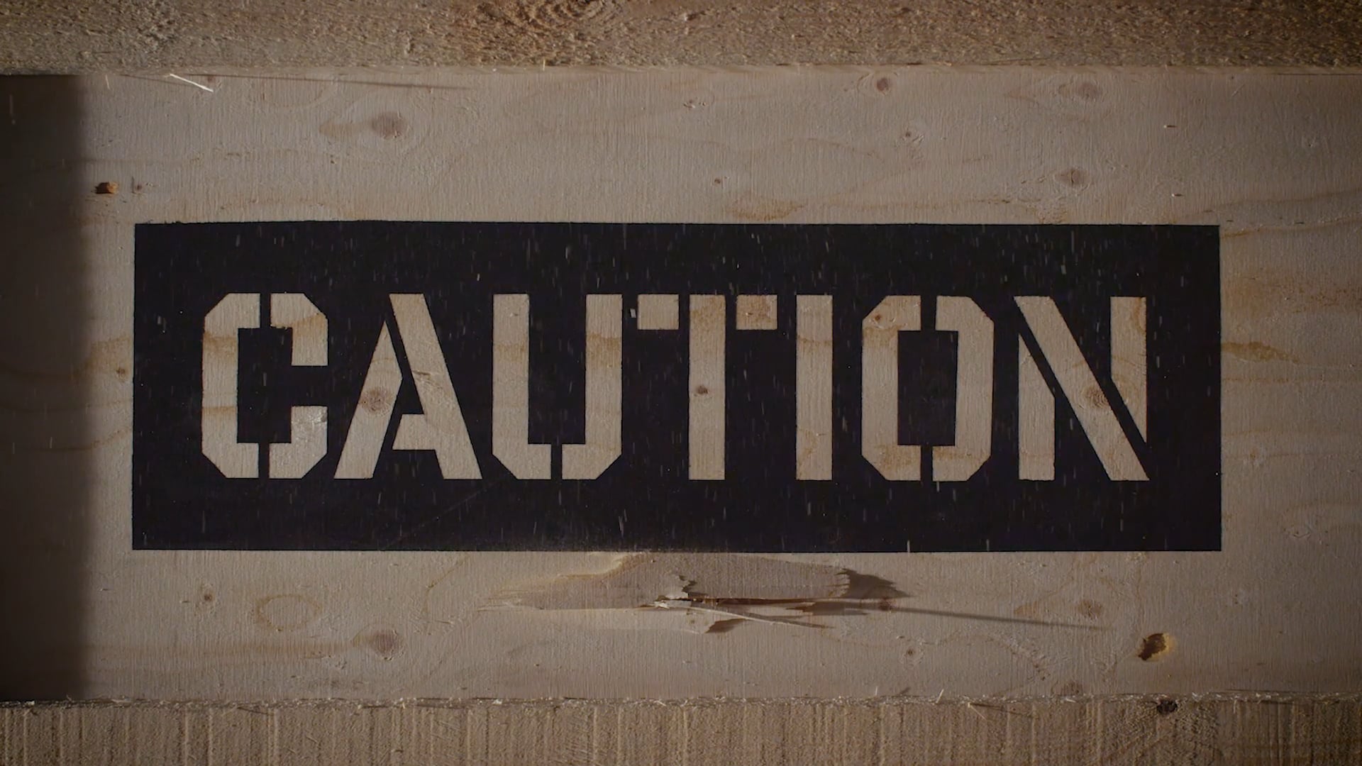 FC BARCELONA: Torna el búfal