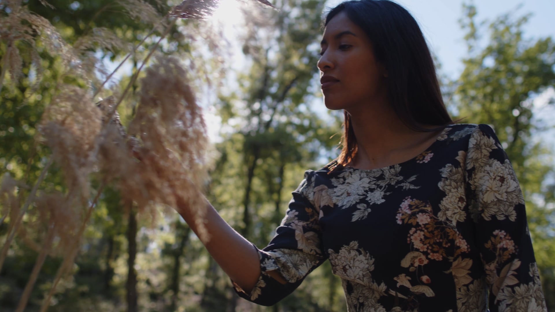 FGC | EL CAMÍ SOSTENIBLE